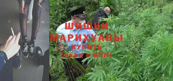 молекула духа Балахна