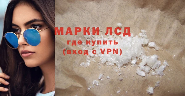 прущие грибы Баксан