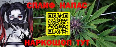 СК Краснознаменск