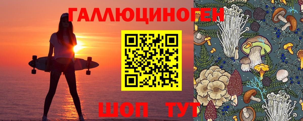 Галлюциногенные грибы Psilocybe Казань