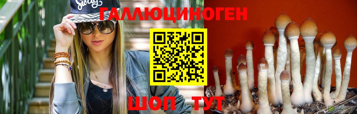 Казань  Галлюциногенные грибы ЛСД  Вход с VPN 